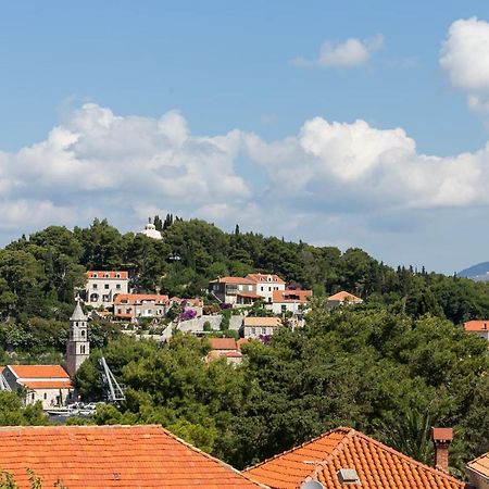 Apartments Miljan Popovic ツァヴタット エクステリア 写真